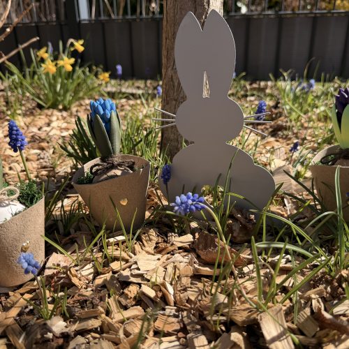 Spike Dino-Accessoires