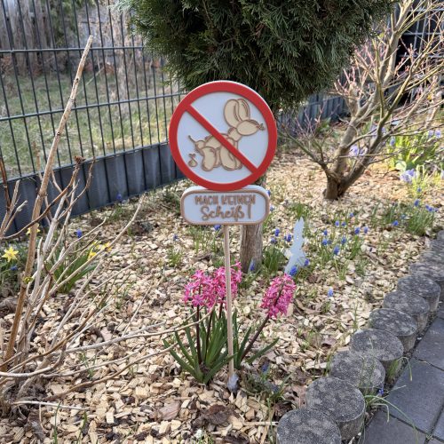 Spike Dino-Accessoires