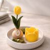 Linea Tulpenhalter – Calma Edition – Kaiserlich Deko Produktbild 2