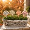 Herbstliebe Pilz
