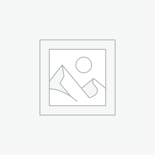 Heidi Marienkäfer – Blumenstecker